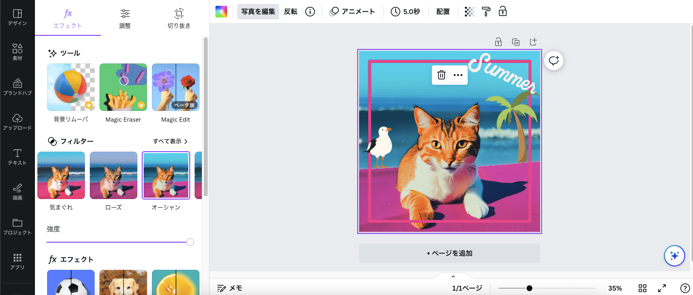 猫